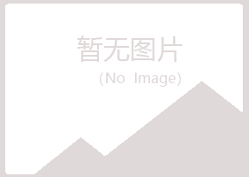 阳泉矿晓夏咨询有限公司